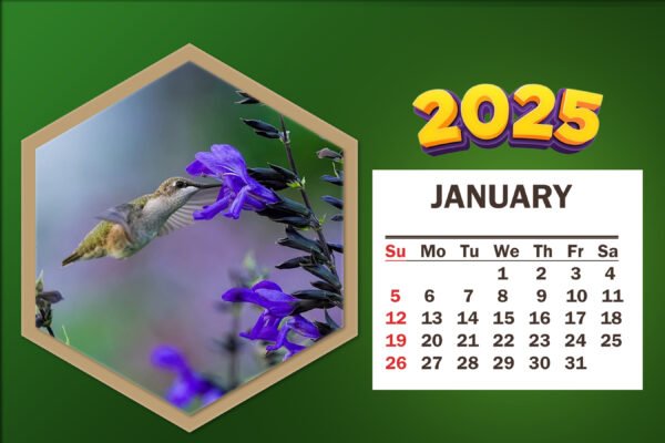 Custom Printed Calendar – Personalized Photo and Logo Calendar for Home, Office, and Corporate Branding