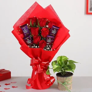 Red rose chocolate bouquet with lucky plant same day delivery in Burdwan