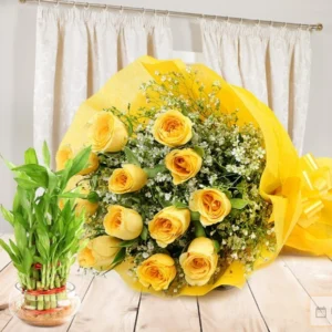 Yellow rose bouquet with lucky bamboo plant for same day delivery in Burdwan